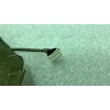 LCD LVDS cable Acer Extensa 5230, 5230E, 5430, 5630, 5630EZ, 5630G, 5630Z, Travelmate 5230, 5330, 5530, 5730 (p/n: 50.4Z406.002)