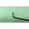 Camera cable Asus Eee 1005HA (p/n: 14G14F019111) 