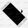 5.5 inch Apple iPhone 7 Plus (LCD+тач) белый с рамкой 1920x1080 LED  NEW / AAA