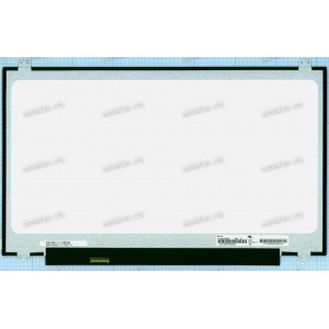 N173FGA-E44 (матовая) 1600x900 LED 30 пин slim new