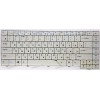 Keyboard Acer Aspire 4520, 5520G светло-серая (9J.N5982.60R, AEZD1700010, PK1301K01H0) Keyboard Acer Aspire 4520, 5520G светло-серая (9J.N5982.60R, AEZD1700010, PK1301K01H0)