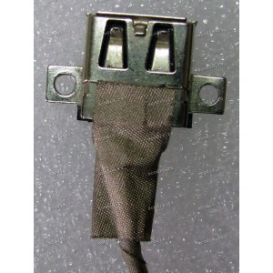 USB board & cable Lenovo IdeaPad G570, G575, G560, G565 (p/n DC301009H00, PIWG2, NIWB2, REV:2.0) 