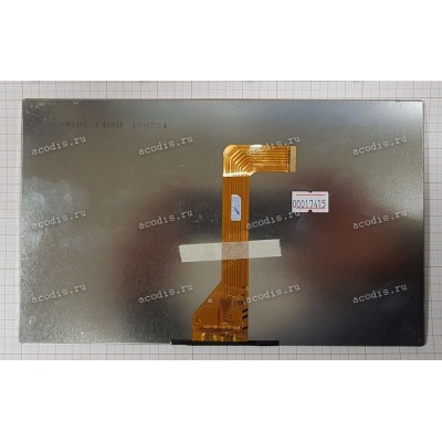 PFP-SL101146-01A (для Digma Plane 1713T/1715, CITI 1511, Optima 1015) 1024x600 LED 30 пин  NEW