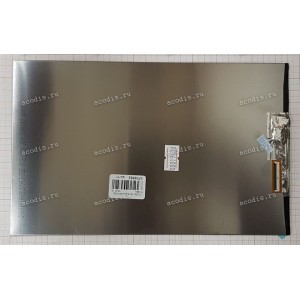 XR101IJ3T 1030350682-A1 (для Digma Optima 1025N) 1280x800 LED 40 пин  new / разбор