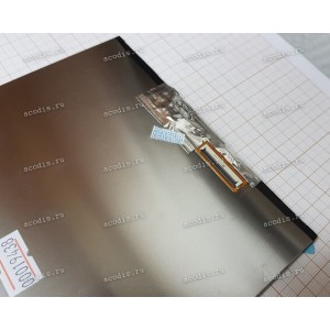 XR101IJ3T 1030350682-A1 (для Digma Optima 1025N) 1280x800 LED 40 пин  new / разбор