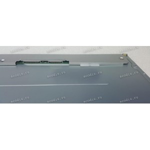 LM250WQ1-SSA1 (FF) 2560x1440 LED 51+41 пин  разбор