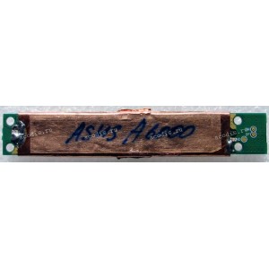 Camera Asus A3G, A6NE, A6U (p/n: 04-370008000)