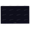 12.5 inch ASUS UX390UA (B125HAN03.0 + стекло) oem 1920x1080 LED slim разбор