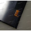 8.0 inch  WJWX080032A-7 BLU.080032A-7V1 (для Digma CITI 8592) 1280x800 LED 31 пин  NEW