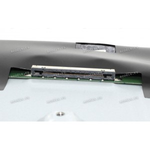 TPM315B5-DP02.S (FF гнутая) 2560x1440 LED 51 пин  разбор