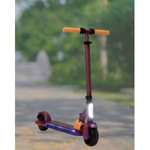 Электросамокат Accesstyle Panda 13S