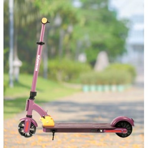 Электросамокат Accesstyle Panda 13S