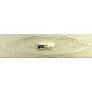 3FAN OPTIC FIBER Asus (p/n 13010-03180000) Additional_LED MOD / CHAMPION ELECTRONICS/CPASUS03