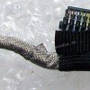 LED cable Sony SVF15 (p/n: 33GD5DB0010, DD0GD6TH000)