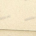 Петля правая Lenovo G550, G555 (AM0BU000100-R)