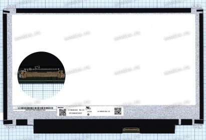 N116BGE-EA2 rev. C2 1366x768 LED 30 пин slim NEW N116BGE-EA2 rev. C2 1366x768 LED 30 пин slim NEW